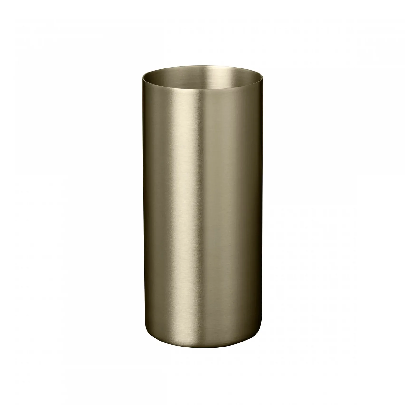 Modo tandborstmugg, Brass blomus