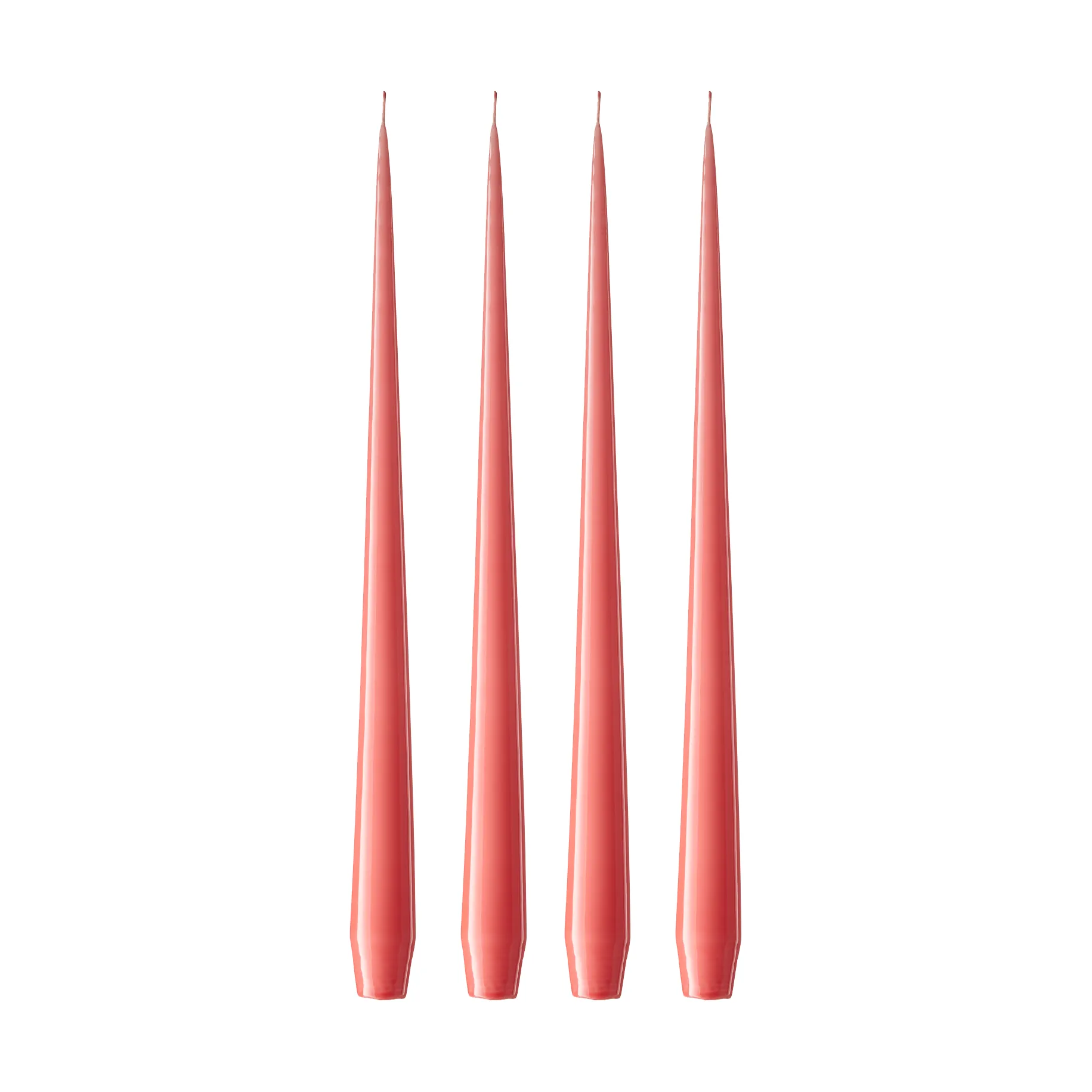 ester & erik ljus lackad 4-pack, Coral reef 26, 32 cm ester & erik
