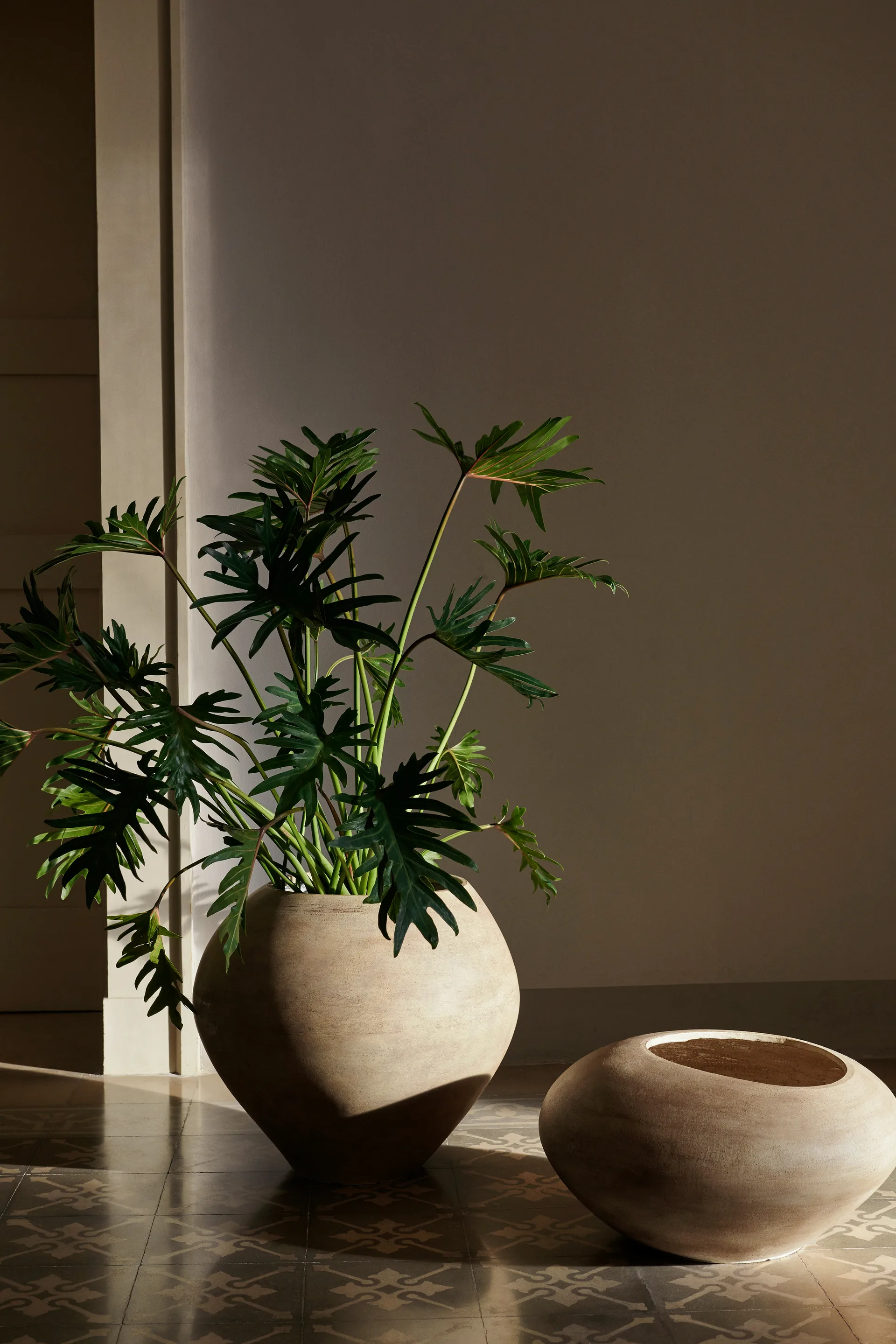 Dodu kruka, Low Ferm Living