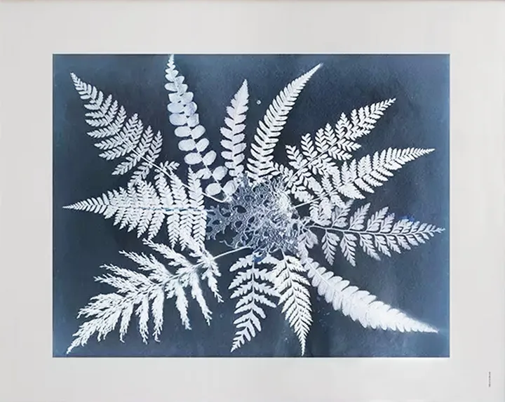 Fern star poster - 40x50 cm - Fine Little Day