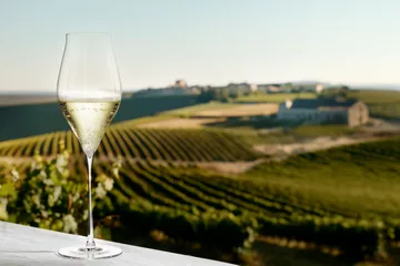 Notes champagneglas 2-pack - 38 cl - Holmegaard