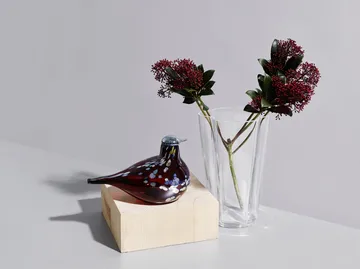 Alvar Aalto vas klar - 220 mm - Iittala