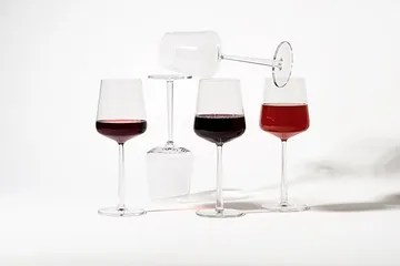 Essence glasset 24 delar - Iittala