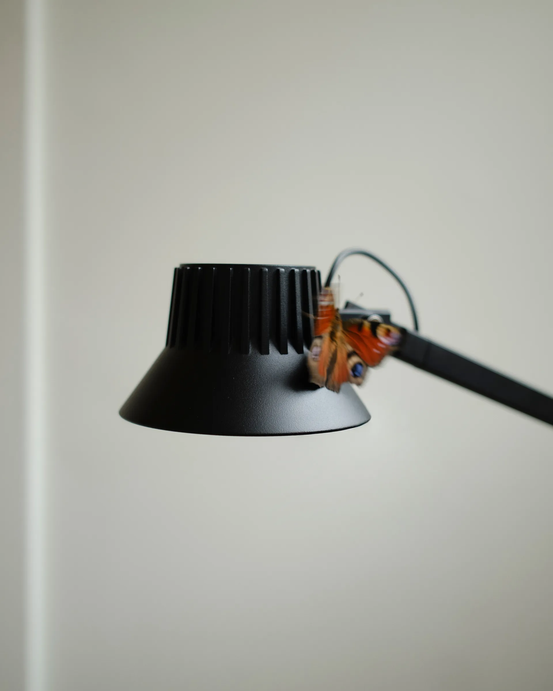 Dedicate golvlampa, Black, 112 cm Muuto