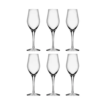 Sense champagneglas 25,5 cl 6-pack - Klar - Orrefors