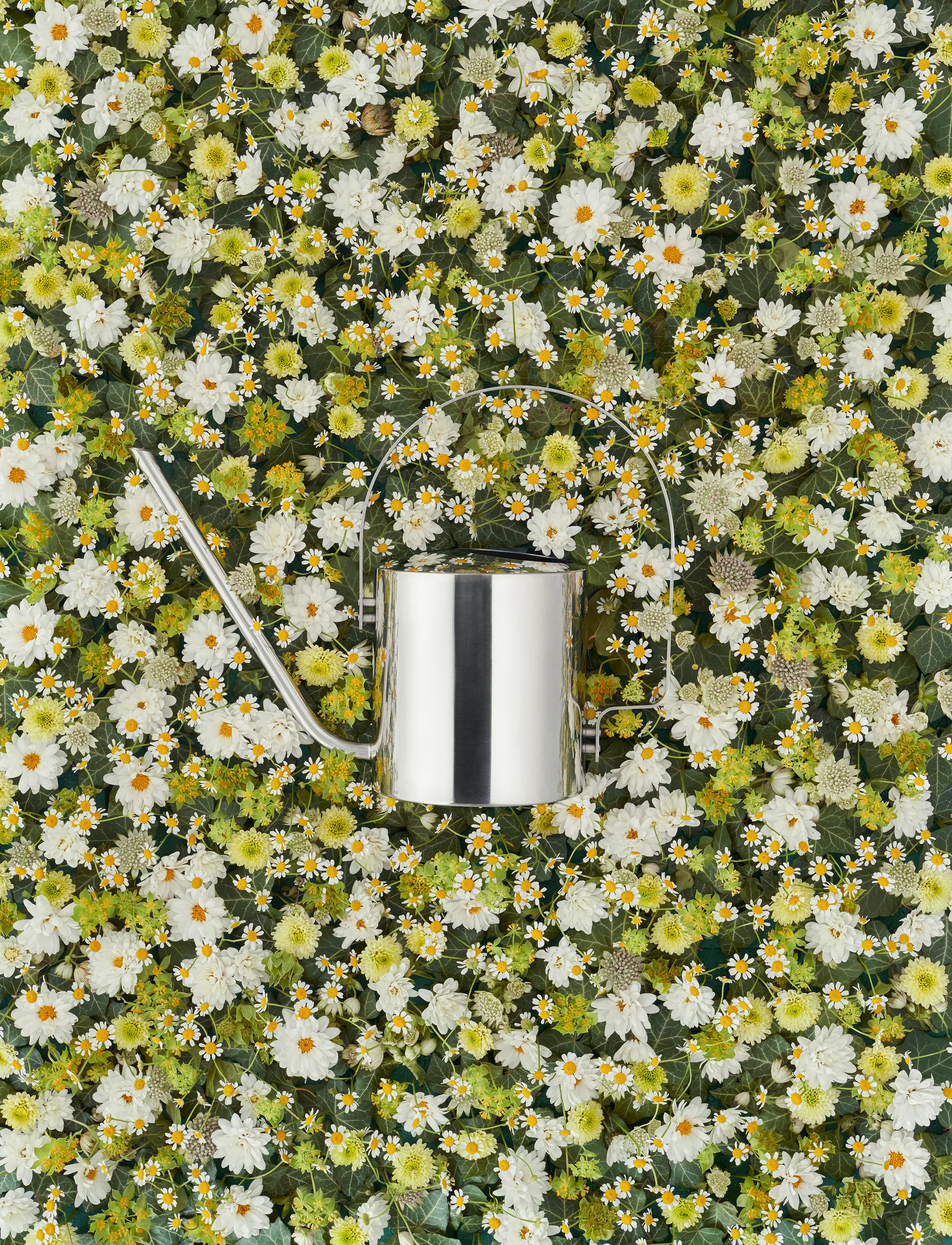 Original vattenkanna 1,7 l, Rostfritt stål Stelton