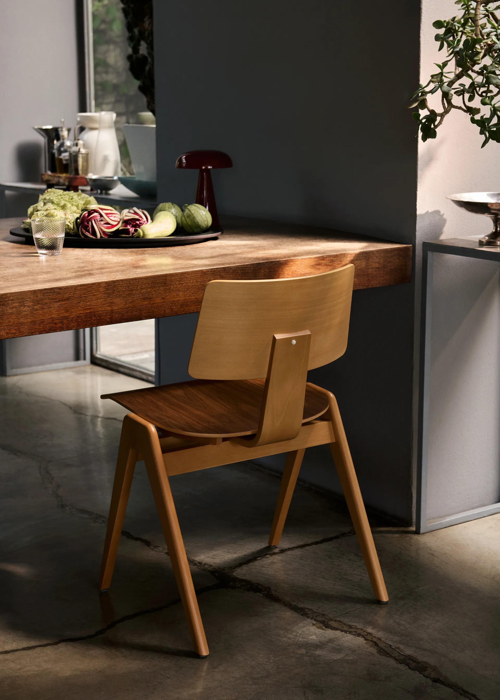 Daystak RD1 sidostol, Beech-walnut &Tradition