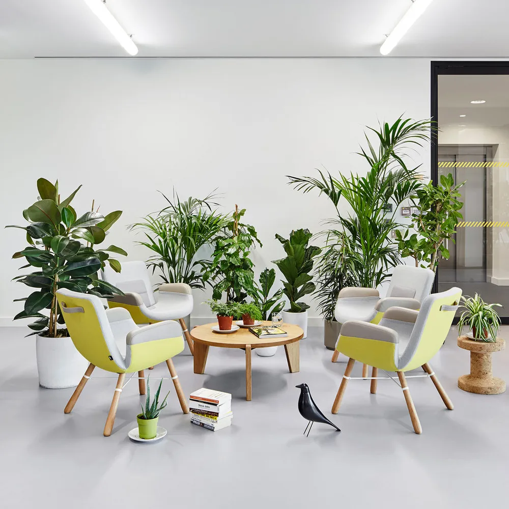 Guéridon bas soffbord, Oiled oak Vitra